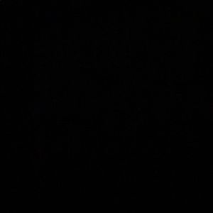 Meet your Posher, Noah